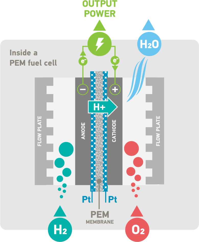 Inside a PEM Fuel Cell - Detailed Diagram